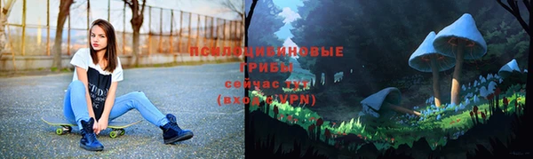 прущие грибы Богородицк