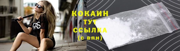 прущие грибы Богородицк