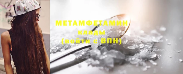 прущие грибы Богородицк