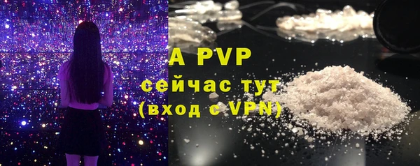 прущие грибы Богородицк