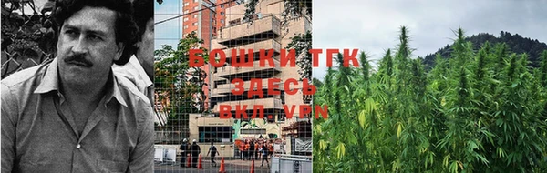 прущие грибы Богородицк