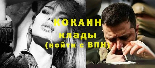 прущие грибы Богородицк